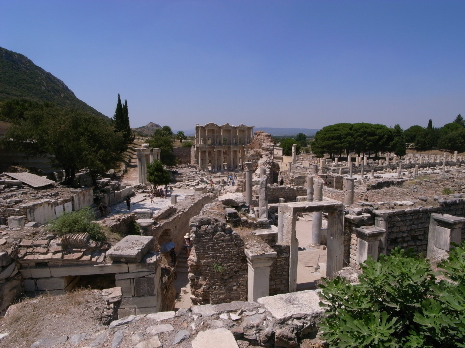 その場所に住むということ High Land Design